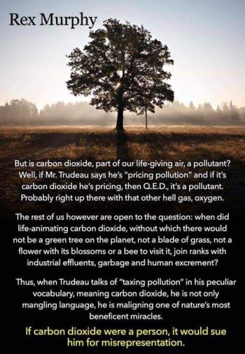 Rex Murphy