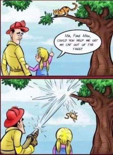get the cat