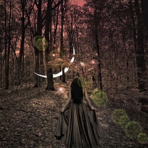 347870832_268204448989512_8648456936609197261_n