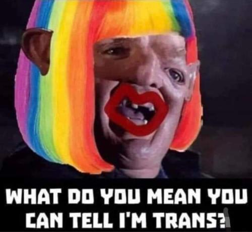 FB_IMG_1683310882117