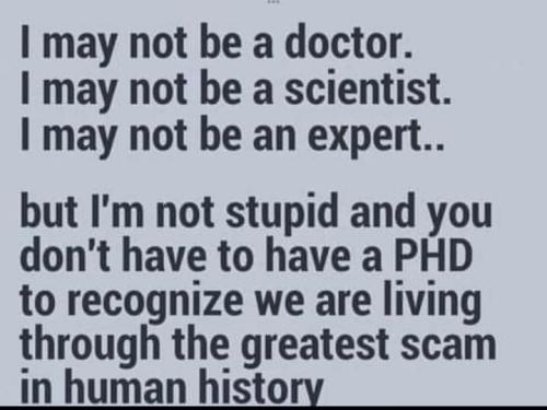 346073853_486357033636048_9214320086131703528_n