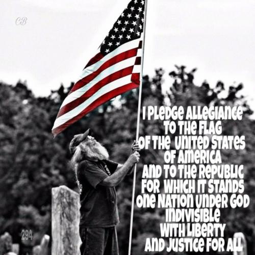 pledge to flag 41
