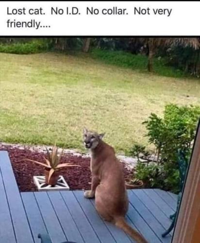 FB_IMG_1684088839855