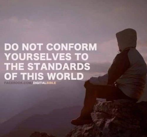 Screenshot_20230524_195202_YouTube