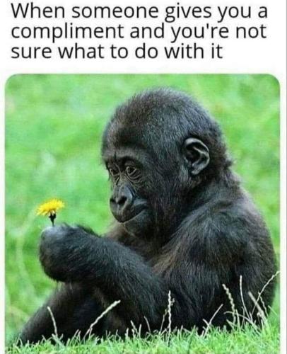 1683902917951