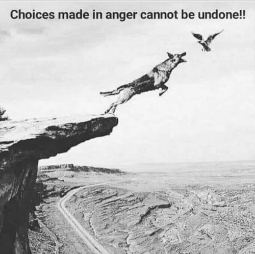 444e9c00-4228-4c9d-ab80-c4b8bf7f459f