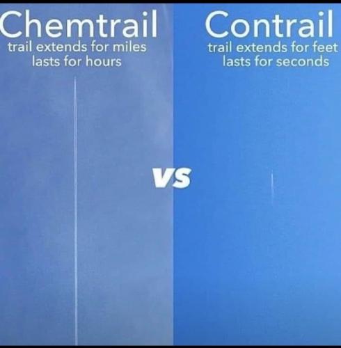 Screenshot_20230503_095538_Wimkin Free Speech Social Media~2