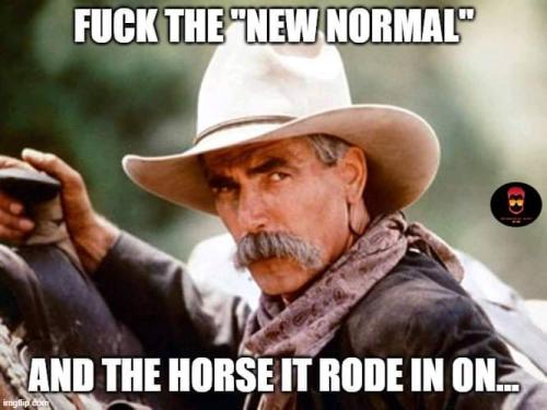 FB_IMG_1685156281748