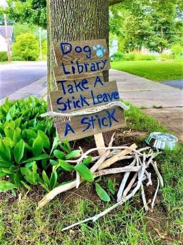 dog library