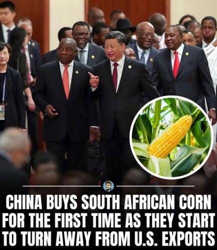 b6a8dc4a-c575-47ad-8961-8061e29f3036