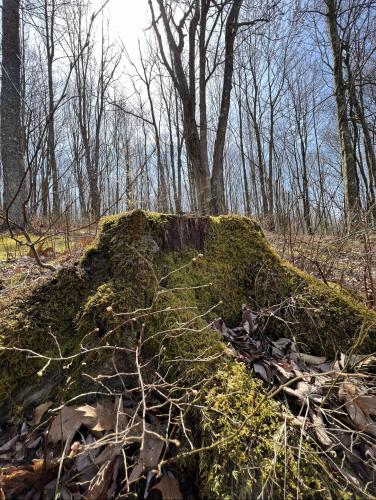 21:29:01 GMT-0500 (Central Daylight Time).image