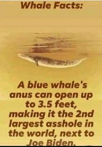 e5ed163b-7c7b-4e7b-80a2-ca1c58e1dd52