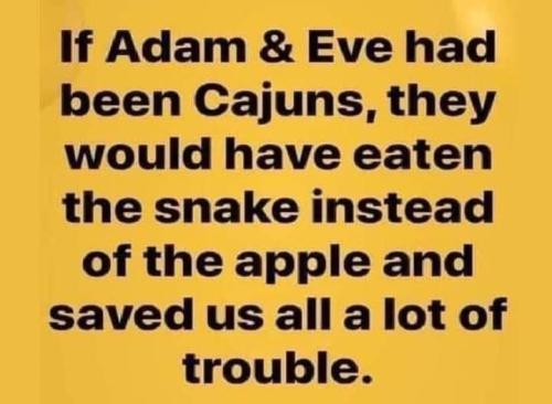 FB_IMG_1683251205318