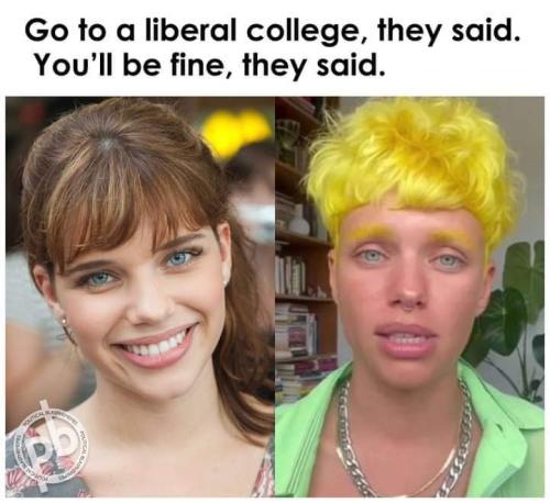 FB_IMG_1684261121619