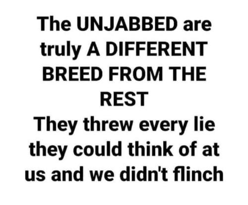 344803743_257207183443608_6575871210532379413_n
