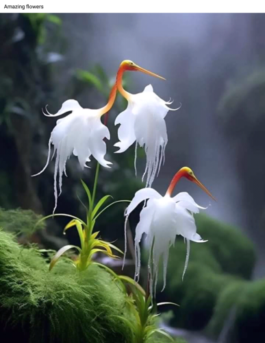 Screenshot_2023-05-22-03-37-16_kindlephoto-604020648