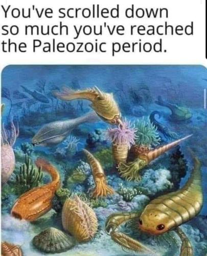 FB_IMG_1685189196992