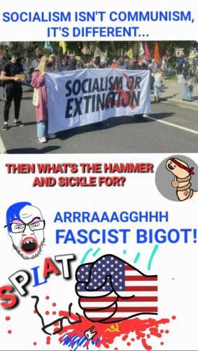 Screenshot_20230506_073233_Wimkin Free Speech Social Media