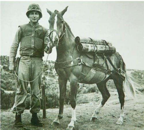 11:05:32 GMT-0500 (CDT)