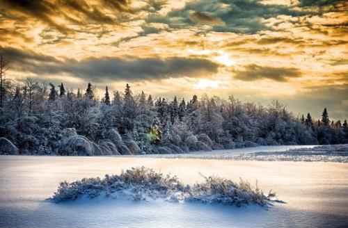 7b0fd8e5-e974-427d-b3f1-92610a281a59