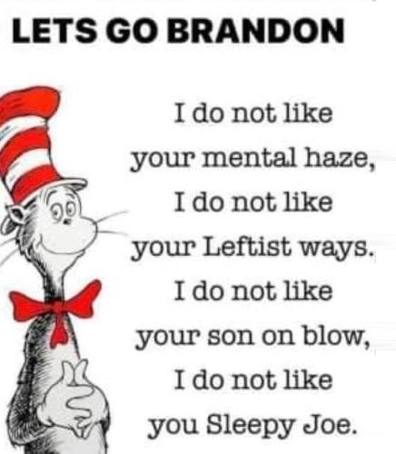 I DO NOT LIKE YOU SLEEPY JOE