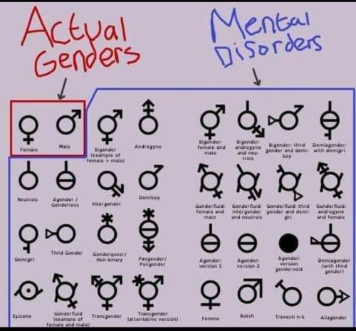 FB_IMG_1683734774483