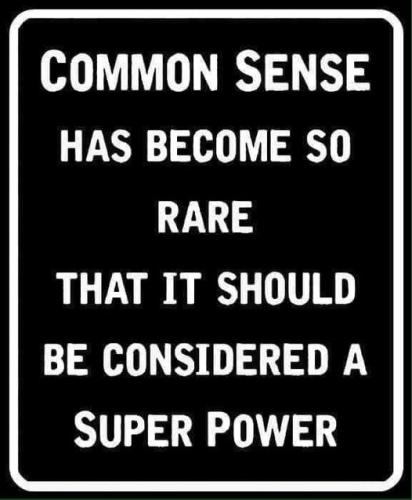 345583264_620332256655729_220729267433179138_n