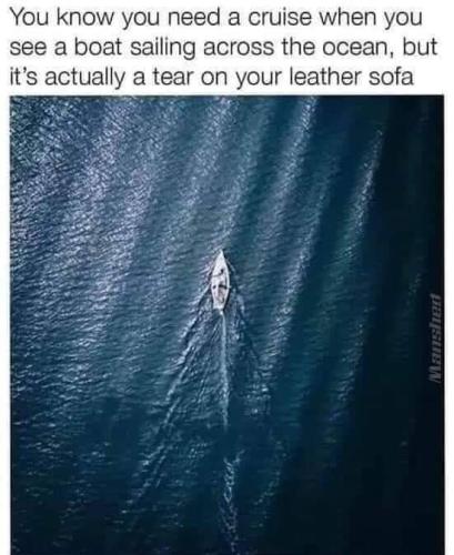 FB_IMG_1683911264227