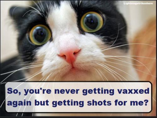 Screenshot_20230529_102643_Chrome