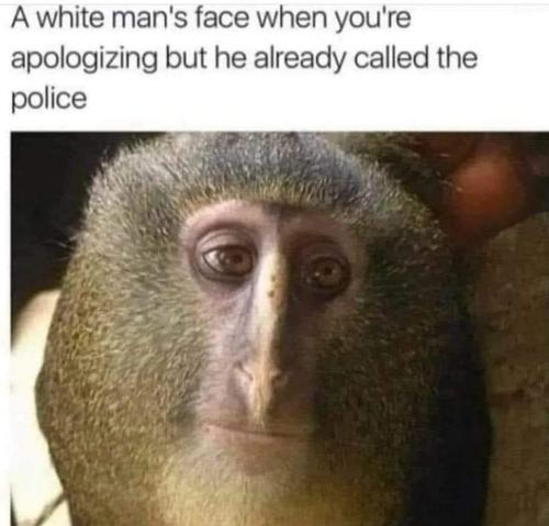 FB_IMG_1683733718554