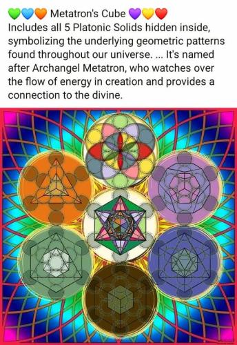 347392131_14506676590