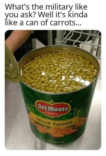 FB_IMG_1683300484092