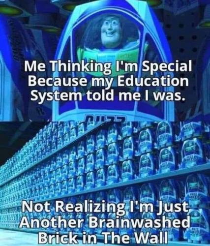 1684009756.480647