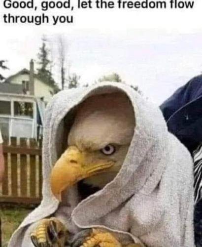 1684035569.994936