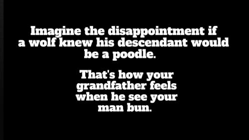 On wolves, poodles, and man buns.