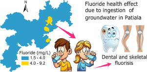 ! Fluoride Dental and Bone Fluorosis - Brittle bones and teeth