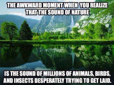 10264959_939951799367607_8696134011542823697_n