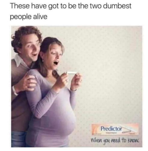 2 dumb people