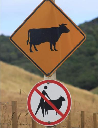 FB_IMG_1684932583419