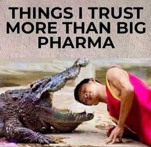 E5D8CF9A-F50A-4F07-AFF8-CA8D40E152B9