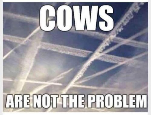 chemtrails174
