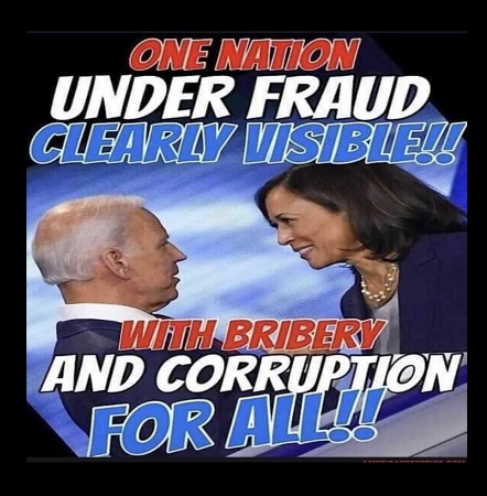 Fraud Allegiance 1