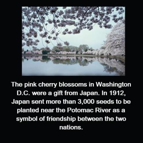 1684088694.272716