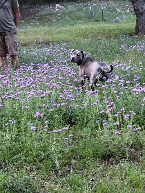 12eb615c-db1c-4730-a095-c74d4b872ce6