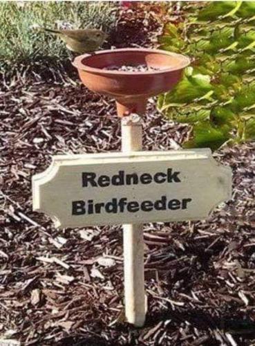 FB_IMG_1683052076282