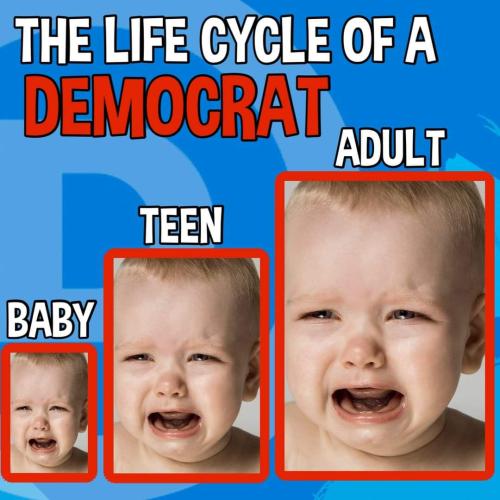 FB_IMG_1684087960188