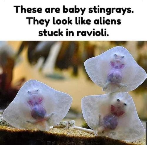 FB_IMG_1684555979955