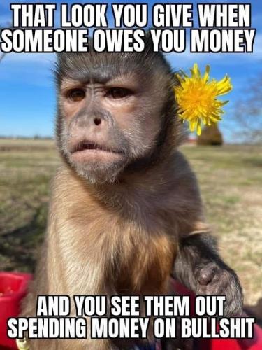 FB_IMG_1682952070089