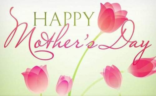 FB_IMG_1684026845407