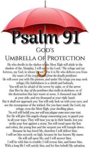 Screenshot_20230501_060758_Wimkin Free Speech Social Media